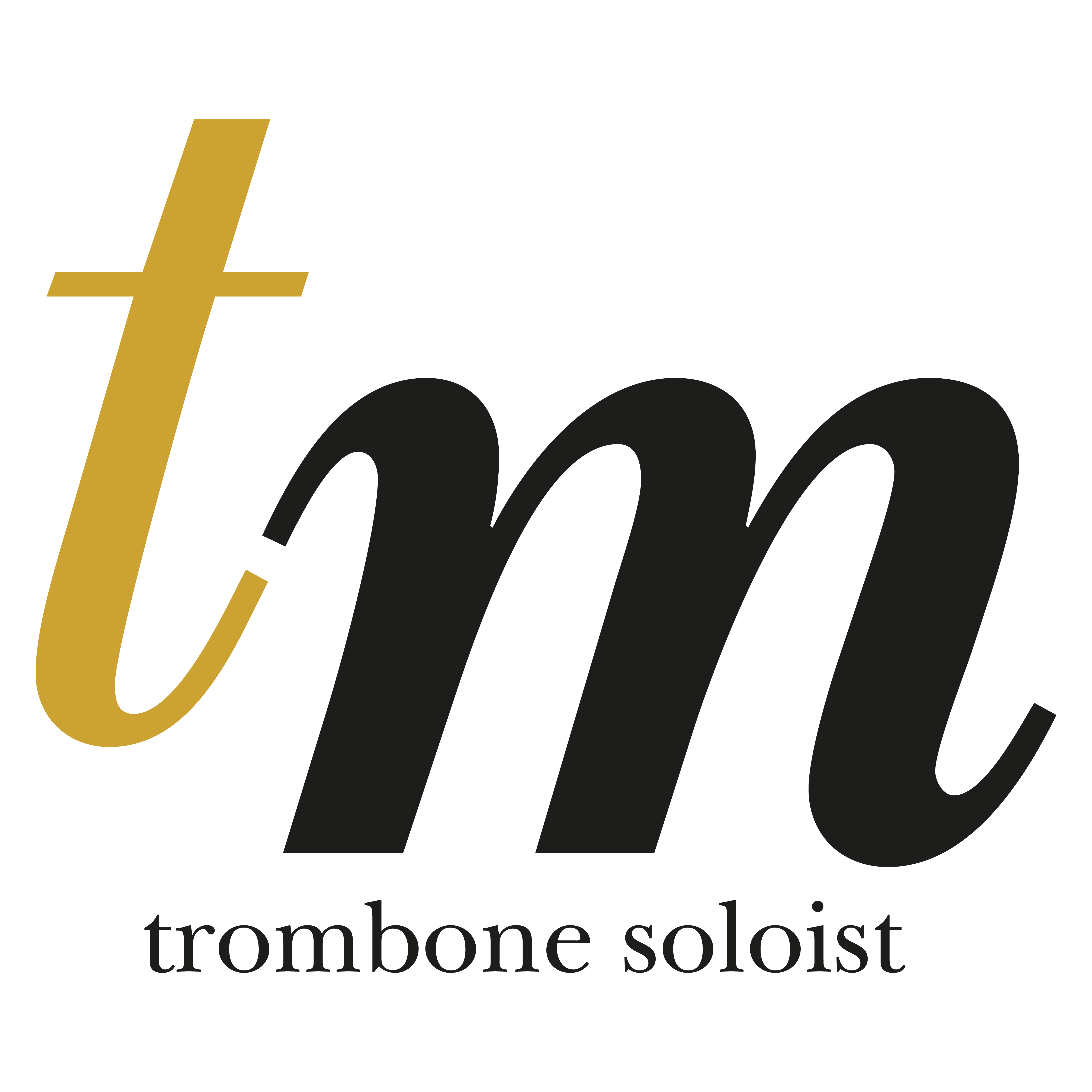Tiziano Mazzoleni Logo